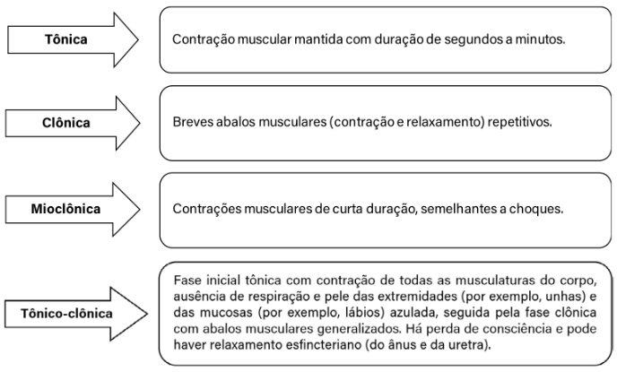 Diagrama com os principais tipos de crises convulsivas: tônica, clônica, mioclônica e tônico-clônica, apresentando um resumo das características de cada uma.